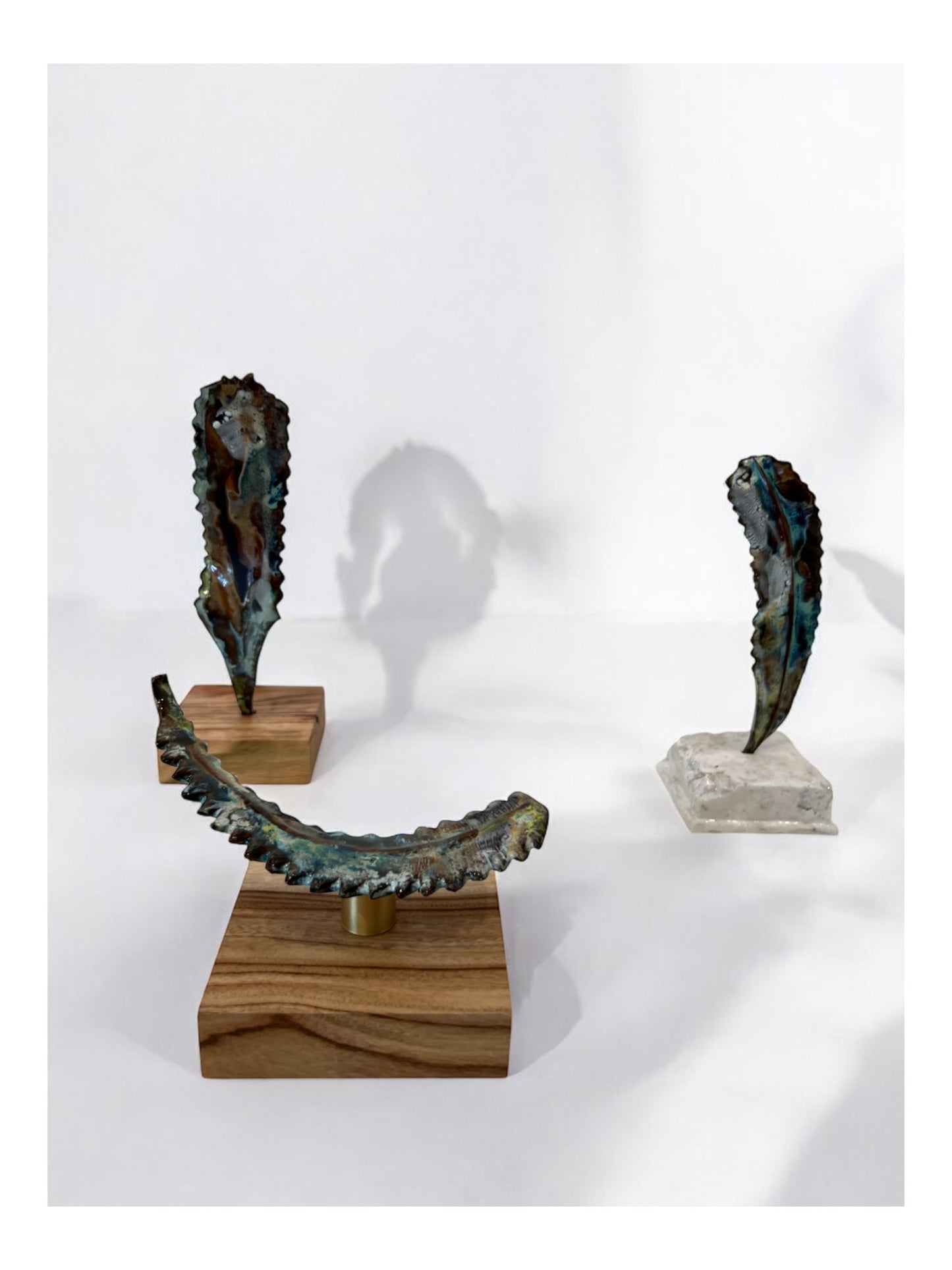 22. Banksia shadow: rising