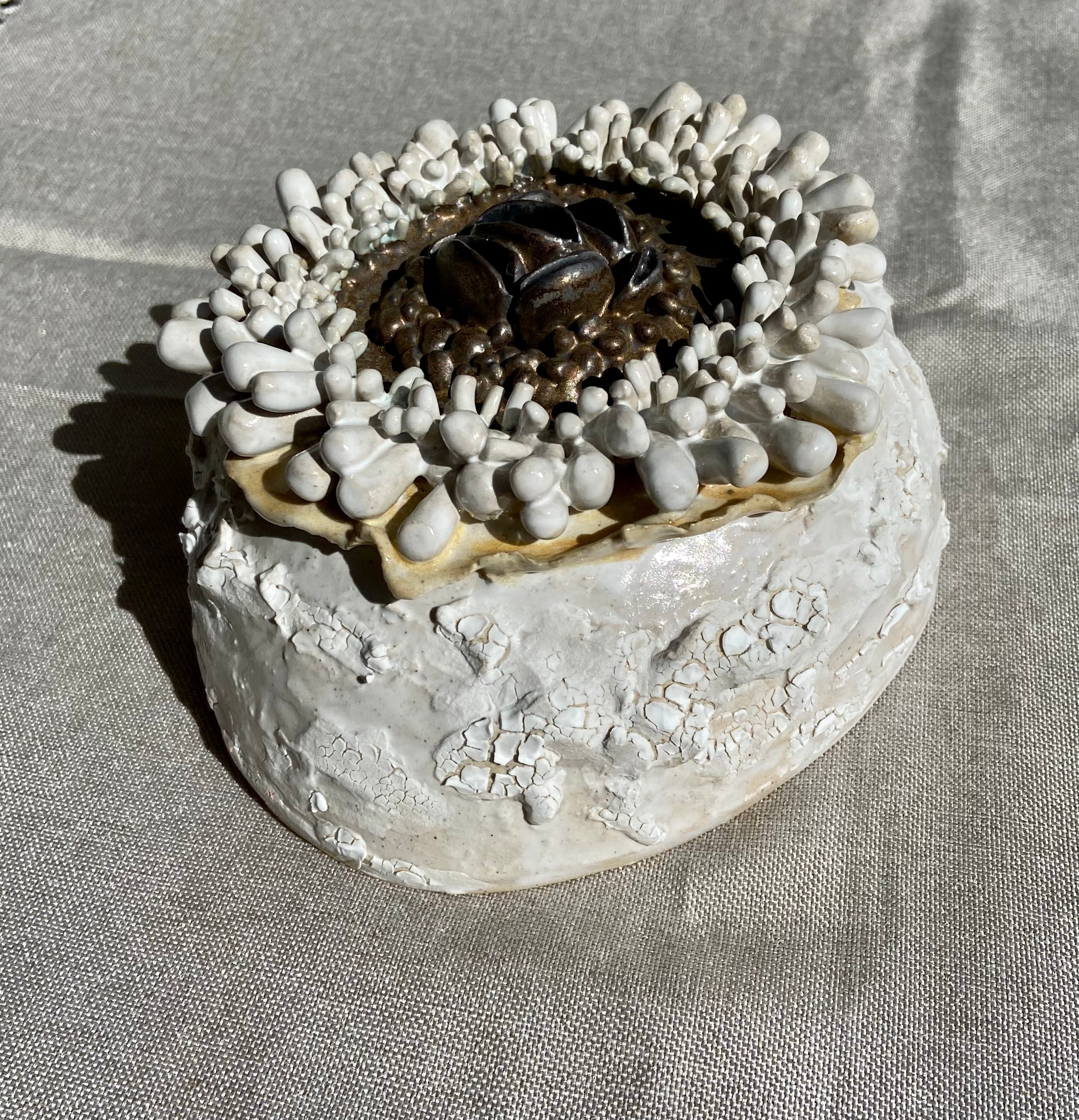 Native Seed Pod ceramic sculpture workshop with S.Mountain