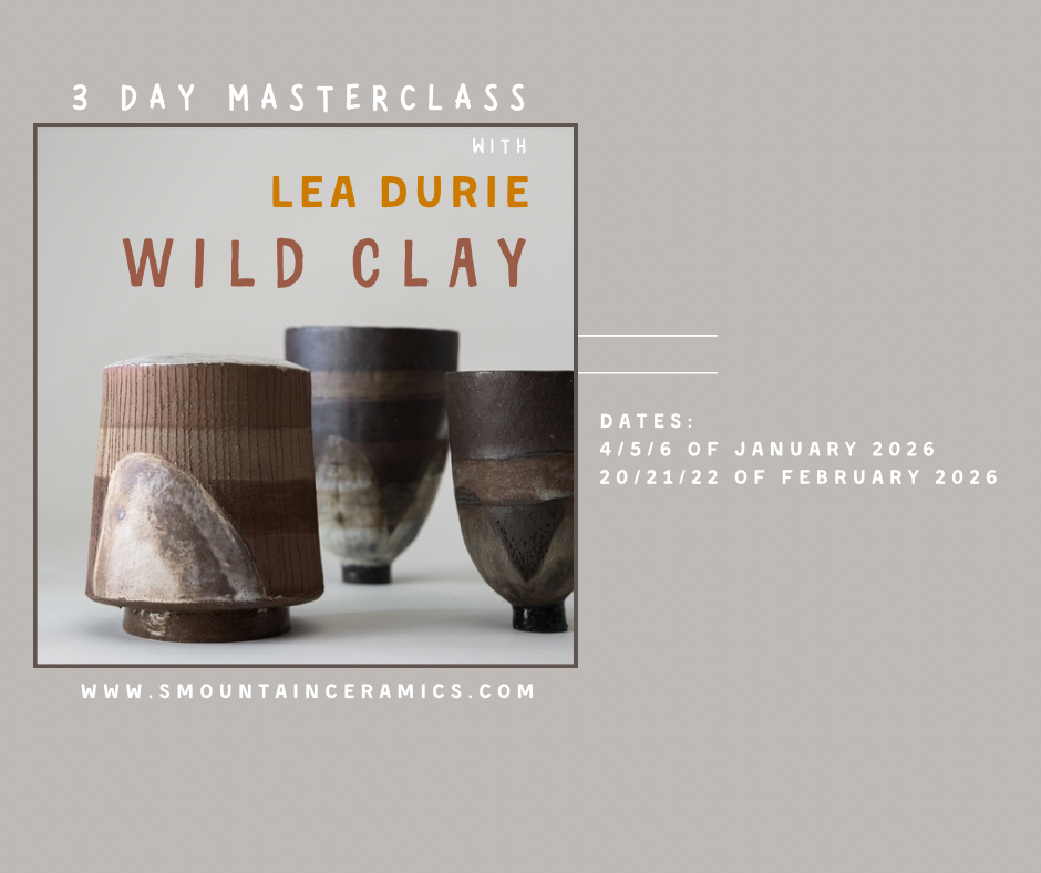 January - 3 day Masterclass with Lea Durie at S.Mountain Ceramics Studio